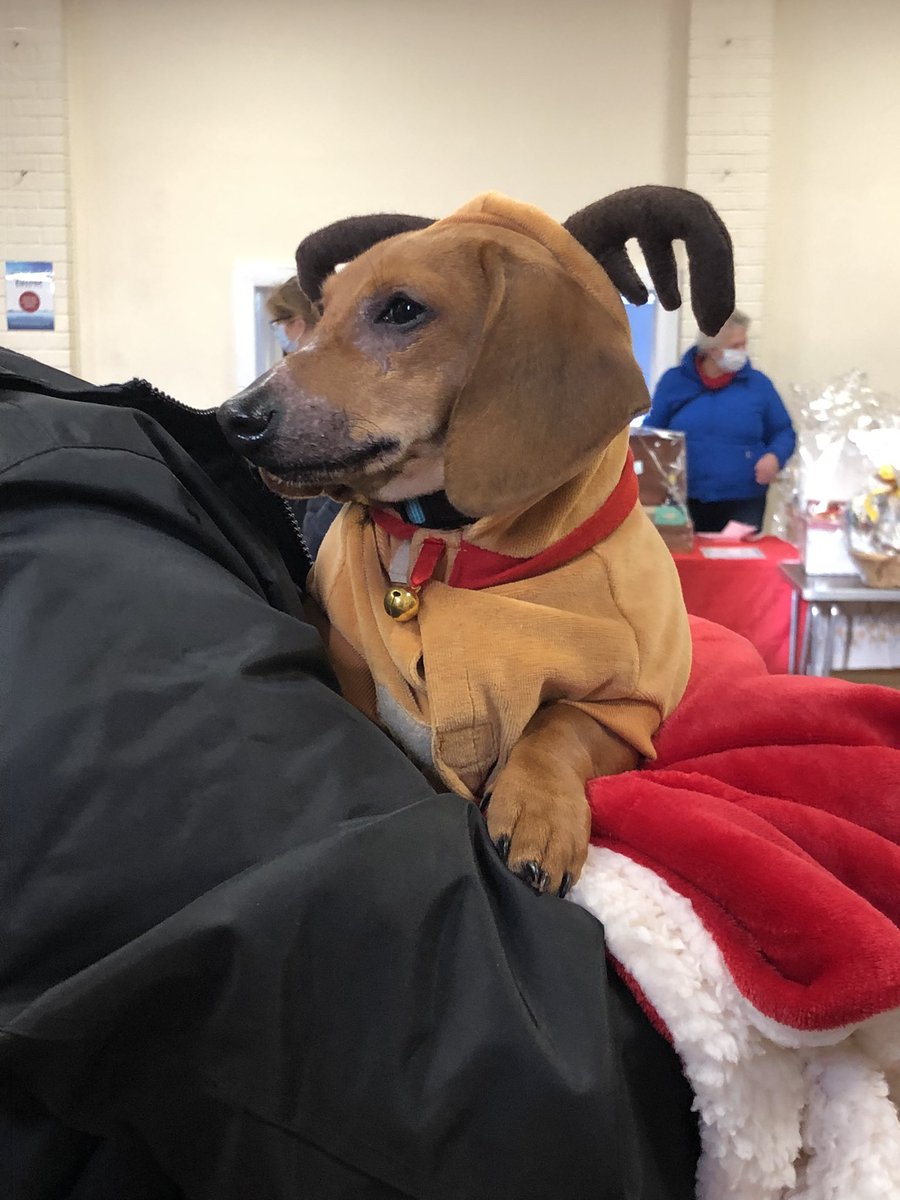 Today I am at <a href="/Holly_Hedge/">Holly Hedge</a> Christmas Fair at Long Ashton Community Centre. Come along and see Santa Paws