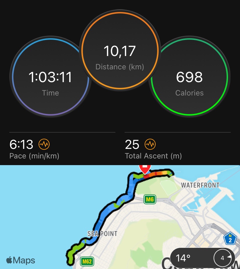 michelle marais tweet media