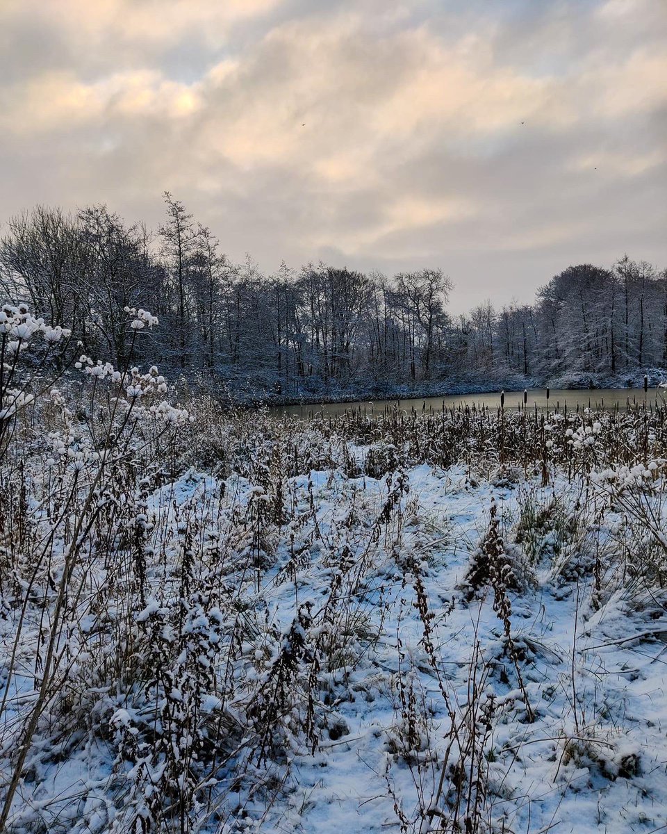 EasterBreich's tweet photo. A very snowy Easter Breich Wood this morning! ❄️ https://t.co/sDrph1xG80