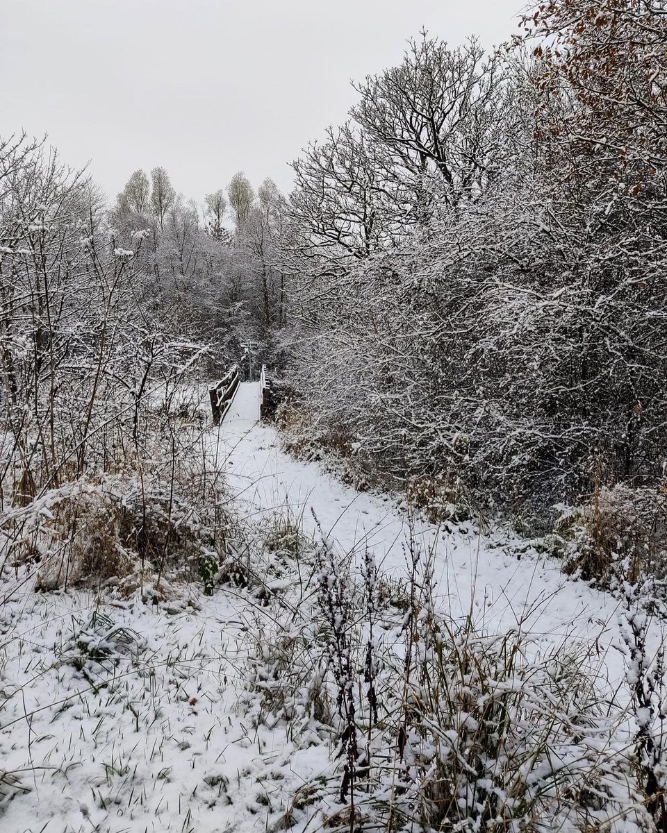 EasterBreich's tweet photo. A very snowy Easter Breich Wood this morning! ❄️ https://t.co/sDrph1xG80