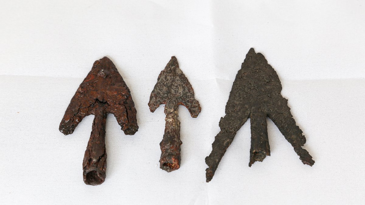 Lewes Castle & Museum and Anne of Cleves House tweet media