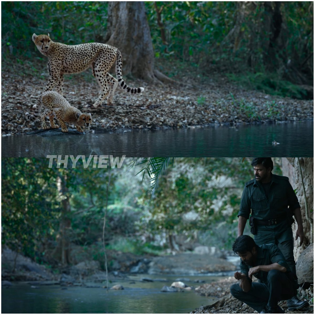 Thyview's tweet photo. #SiddhasSaga

Last shot edhaithe undho, MENTAL MASS anthe 🔥🔥🔥🔥🔥🔥🔥💥💥💥💥💥💥💥💥

#Acharya https://t.co/LkaAc5boyH