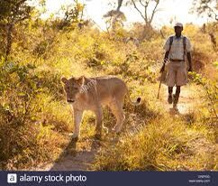 Ok Guys at what age do these ohns start this job aii? Like you Go looking for a job and it’s this one ☝🏾 ah 😂.   Tough ohns these