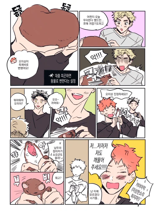 사쿠히나❤️‍🩹 