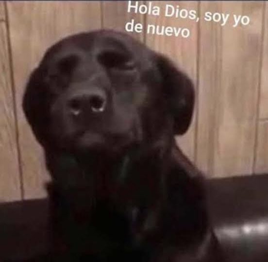 _daniellamua's tweet photo. El temblor más largo de la vida 😩 #temblor https://t.co/bkWheyIleF