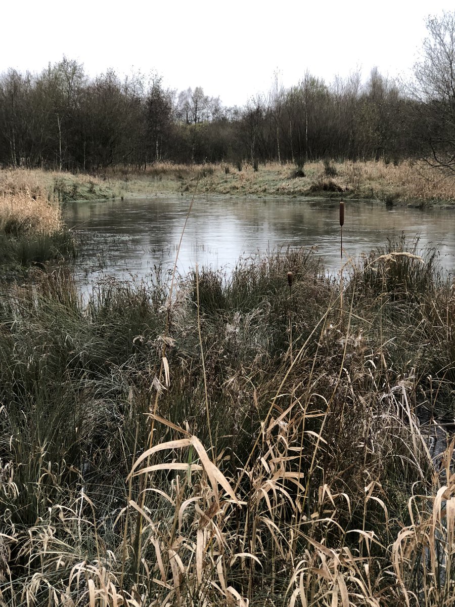 ben_kay8's tweet photo. Could get use to these Sundays with no footy 
Fresh morning walks around the back of the house followed by a cooked breakfast with us all sitting down together #doesnthappenoften 
Then waiting for a Sunday dinner cooked by @LaurawoodKay 
And a few matches on the TV in between 🤣 https://t.co/LO7QZBe3gI