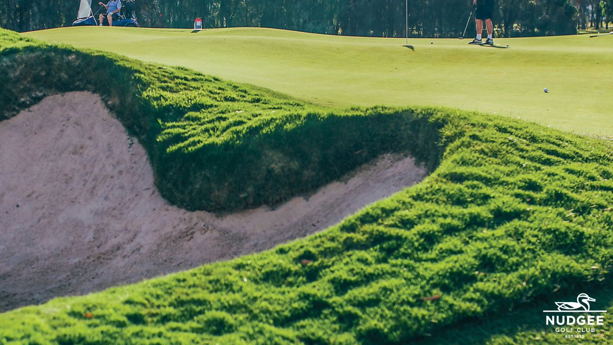 NudgeeGolfClub1's tweet photo. Do you know what one of the best parts about the rain that we’ve had over the last week? 🌧️
How wonderfully green our course will be. ⛳
#wetweather #greencourse #rainyweather #nudgeegolfclub #ngc #yourgolf #yourclub #brisbanegolfing #playgolf #getgolfing https://t.co/jsEPNr1ES7