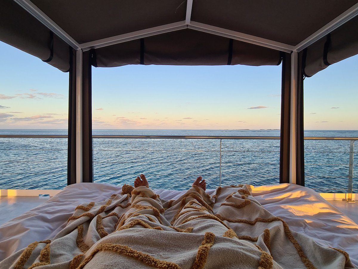 TravellerKate's tweet photo. How is this for a view to wake up to. The new #reefsleep on #LadyMusgraveIslandExperience is truly divine, waking up on #Australia's iconic #GreatBarrierReef
@visitbundaberg @LadyMusgraveExp @LadyMusgraveAus @Queensland @Australia @divethegbr #thisisqueensland https://t.co/yarwPAv0Uz