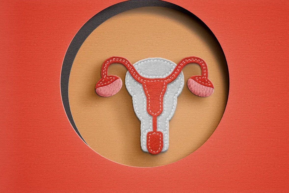 OBGYN North tweet media