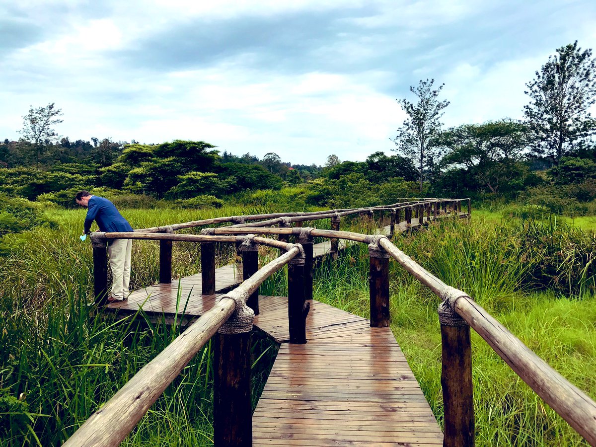 kathfitzgerald's tweet photo. Rwanda. Umusambi Village. Exceptional wetland - ecological recovery. Just outside Kigali. #visitrwanda https://t.co/1fIQCy7ROs