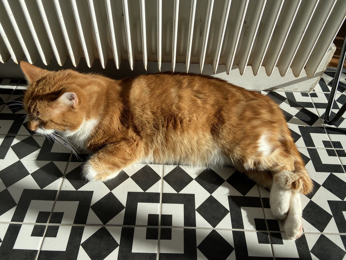 JFduHP's tweet photo. Mixte énergétique, gaz et soleil : chat cuit bien ! 
@sergedemontmidi https://t.co/sGCwt6mSfK