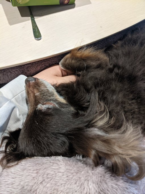 いのちあたたか… 