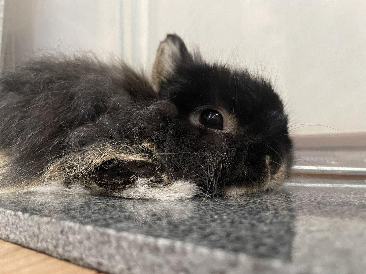 rapisu0428's tweet photo. https://t.co/C12wEZw2DD