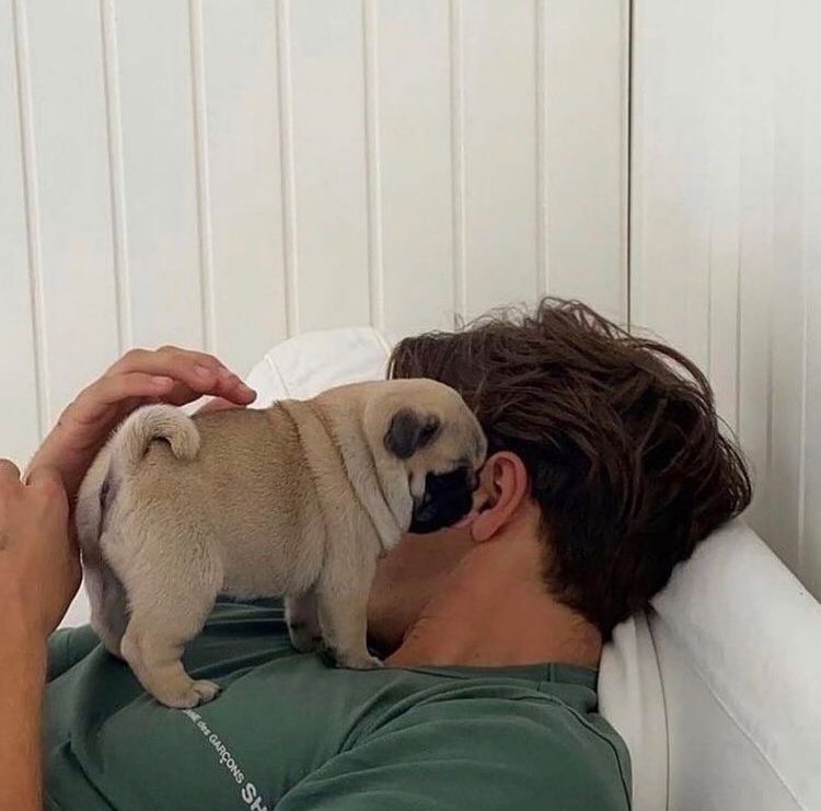 omg so smol