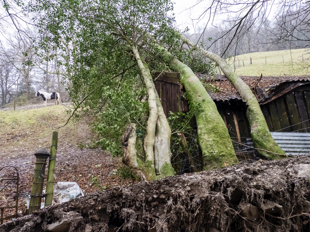 ashleycoopergwi's tweet photo. I've lost count of the climate wake-up calls I've documented on every continent. Sadly not enough people waking up. Storm Arwen slammed into Ambleside, killing one, leaving thousands without electricity/gas. #ClimateCrisis #StormArwen #ambleside #LakeDistrict #ClimateEmergency https://t.co/6EC8d5CDRc