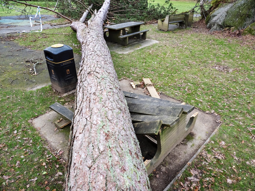 ashleycoopergwi's tweet photo. I've lost count of the climate wake-up calls I've documented on every continent. Sadly not enough people waking up. Storm Arwen slammed into Ambleside, killing one, leaving thousands without electricity/gas. #ClimateCrisis #StormArwen #ambleside #LakeDistrict #ClimateEmergency https://t.co/6EC8d5CDRc