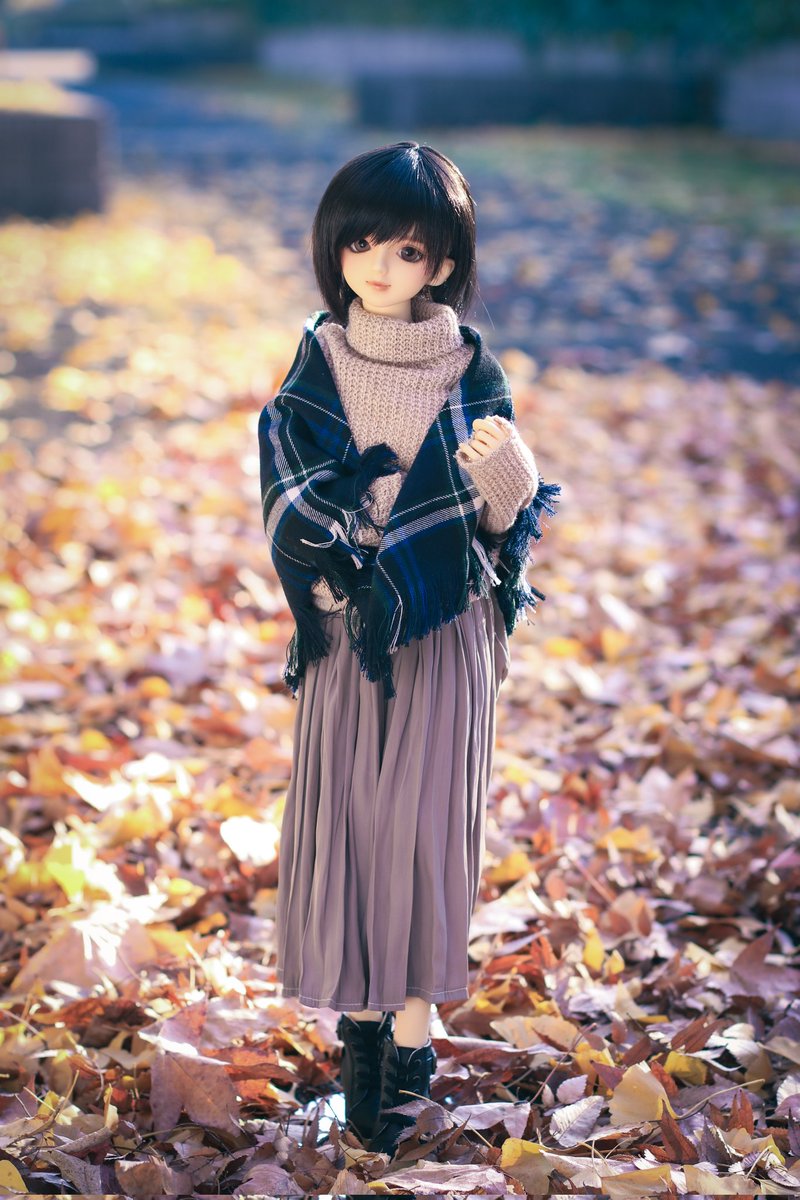 mistyrain0801's tweet photo. 落ち葉サクサクお散歩デート楽しかった。落ちてる銀杏臭かった。
#うちのこかわいい #BOXDOLL6 https://t.co/NQMpdVgjwj