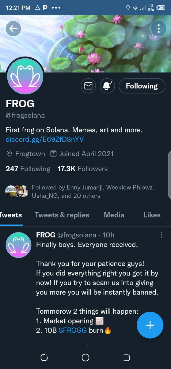 Moonsoon__'s tweet photo. @frogsolana Sir you can change your page name to FROGG or FROGG fork  on Twitter now, it's official 🚀🚀🚀 https://t.co/pZc0SOLj67