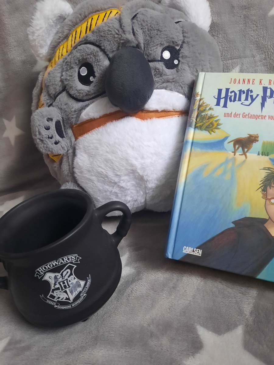 Gibt es schöneres als in der Weihnachtszeit mit einer Decke im Bett zusitzen und zu lesen?⛄
Schönen ersten Advent♥️