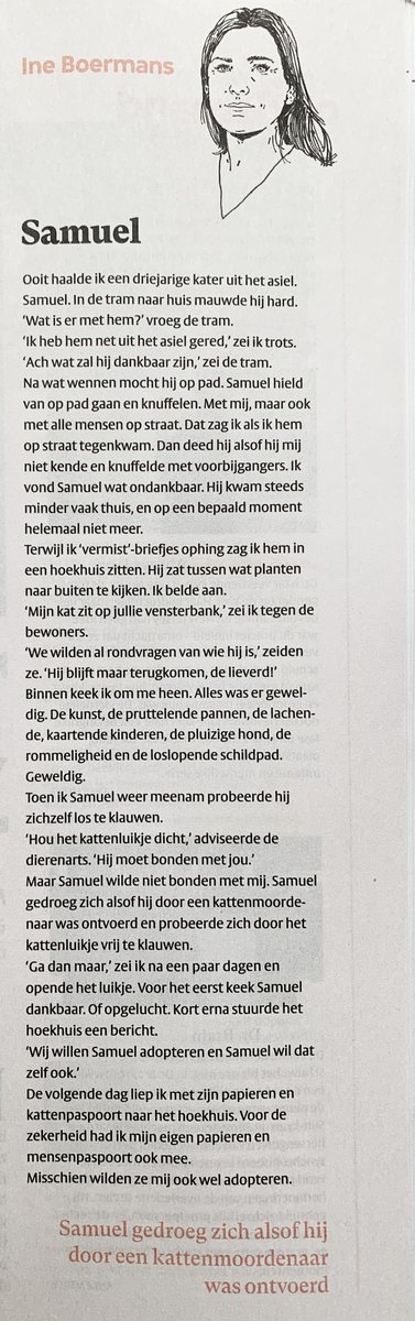 Ine Boermans tweet media