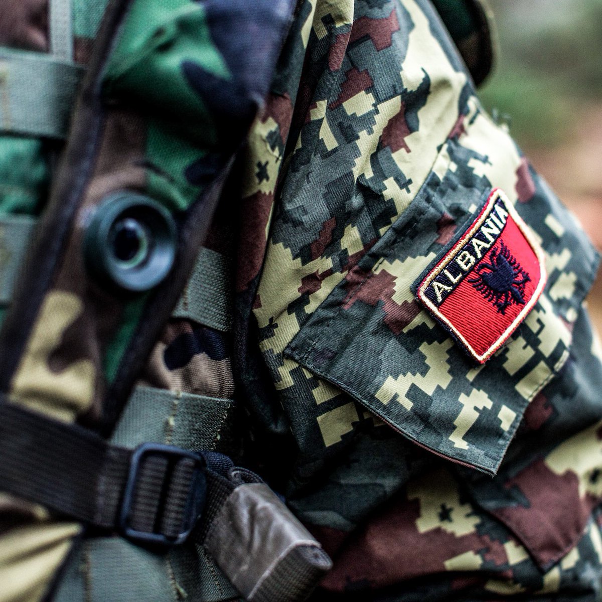 NATO's tweet photo. Retweet to join us in celebrating our Ally 🇦🇱 #Albania on their #IndependenceDay!

🤝 @AlMissionNATO #WeAreNATO https://t.co/d5A7K69nhj