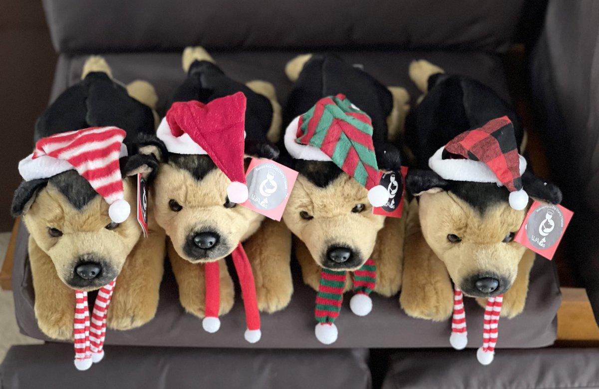 999WAGS's tweet photo. Our limited Edition Christmas WAGS large toy dogs are not just for Christmas ⛄️🎄 The hat &amp; scarf are both removable so you can enjoy your toy dog all year round https://t.co/ChUa516nOw 🐾🐾 https://t.co/4NCnUC4dx6