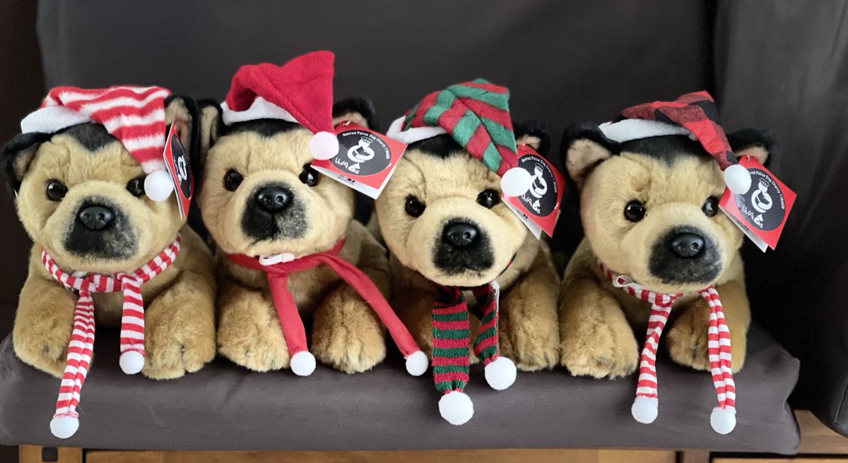 999WAGS's tweet photo. Our limited Edition Christmas WAGS large toy dogs are not just for Christmas ⛄️🎄 The hat &amp; scarf are both removable so you can enjoy your toy dog all year round https://t.co/ChUa516nOw 🐾🐾 https://t.co/4NCnUC4dx6