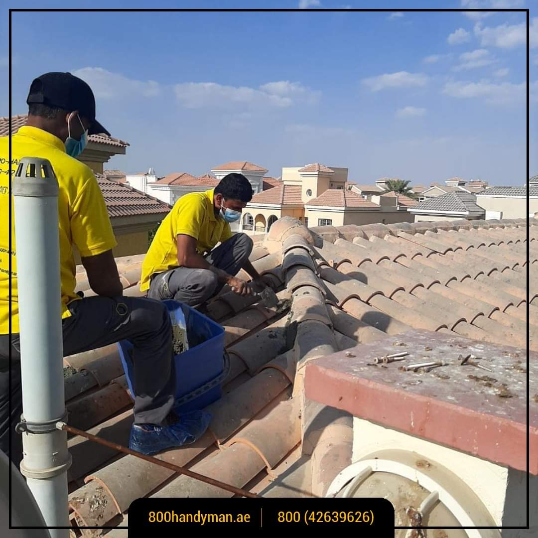 800Handyman's tweet photo. We offer a full range of #ceilingrepairservices, from basic to complex. We have the #expertise in lead paint abatement and ceiling fixture replacement. Call us today to schedule an inspection!

#handymanservices #homeimprovement #homeimprovementhacks #cleaningservices #carpentry https://t.co/Q00QAFh6ll