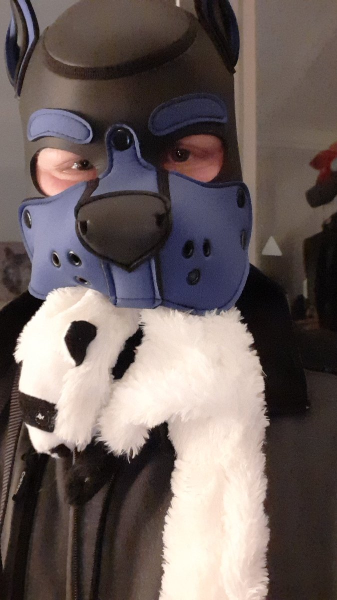 Pupzondernaam (@Pupzondernaam1) / Posts / X
