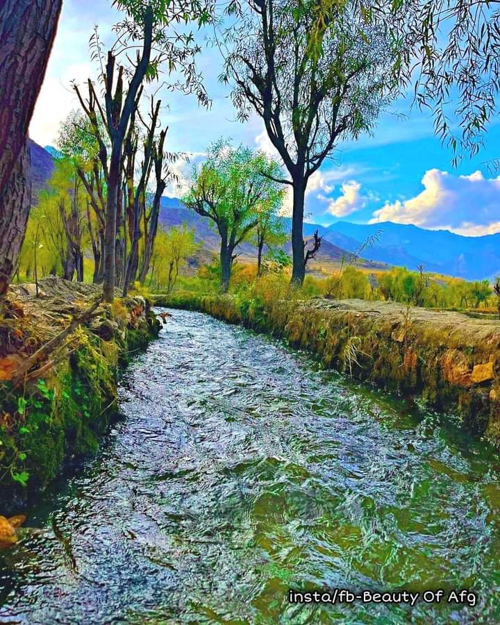 VisitAFG's tweet photo. Kunar Province of Afghanistan
📷 Wahid Rahimdil https://t.co/I4boEoBNzo