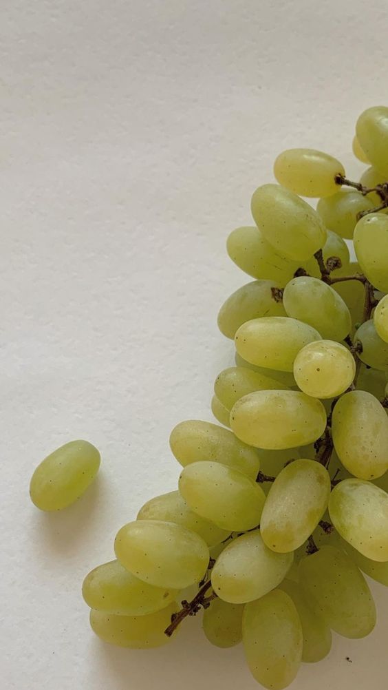 ffedorovf's tweet image. Он все больше убеждался в несоответствии между решением, приведшим его к такой жизни, и самой этой жизнью.