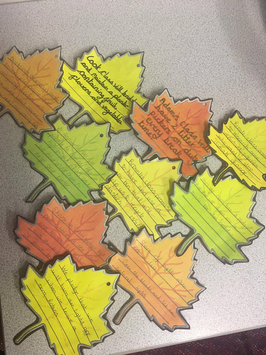NormantonCommon's tweet photo. We have joined in the @wwf_uk #PromisestothePlanet campaign and have created our own #ForestofPromises. Our children, Nursery to Year 6, have chosen what they could promise to do within their classroom. The range of pledges is great, well done all 🌍♻️ @EcoSchools #activecitizens https://t.co/Ln9DbAsASa