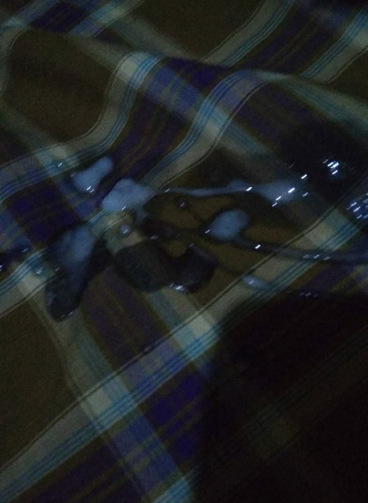 Bnyak kn