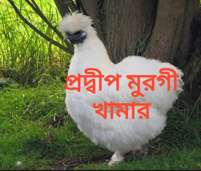 kaushikcomputer's tweet photo. https://t.co/wwtYAJb0CR
