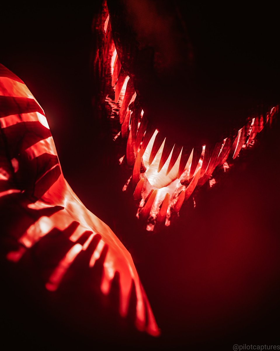 pilotcaptures's tweet image. Nothing kills a man faster than his own head.

#Fortography #Venom
#Fortnite #FortniteChapter3
#Nightmare #FortniteSeason8
@EpicGames @FNCreate