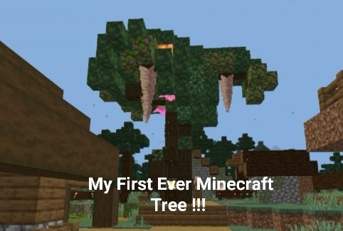 Luna_3clipse's tweet photo. My First Ever Minecraft Tree I Made. What do you think about this? https://t.co/KWJ6ZXN99v