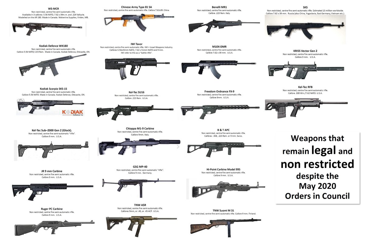 different types of guns and their names