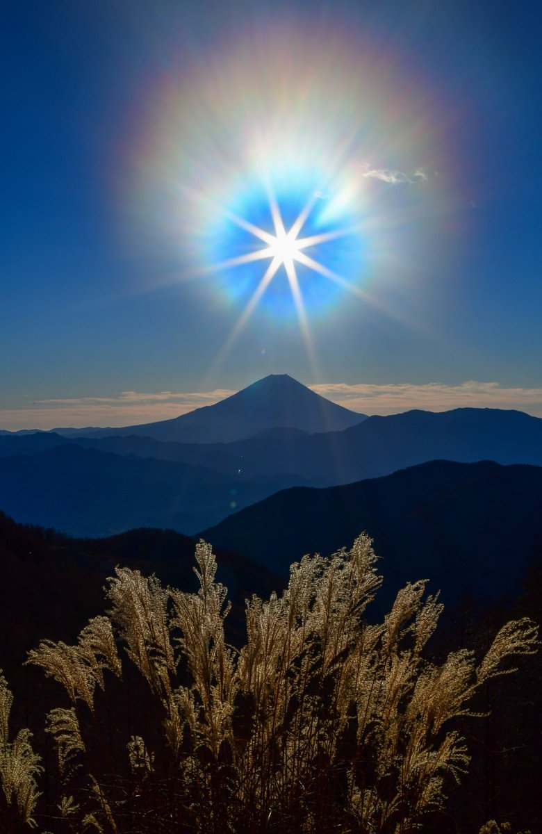 特訓 買え牛ぃぃぃぃっっっ 3mwtld8xpv40c7s Twitter