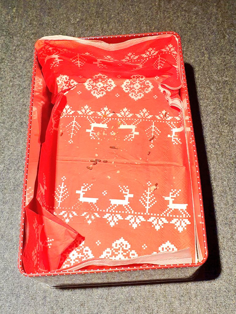 anke_rasmus's tweet photo. Der erste #Advent neigt sich dem Ende und die #Keksdose ist bereits leer. Interpretiere das jetzt mal als Kompliment für meine Backkünste und als Aufforderung zum nochmaligen #Plätzchenbacken. 😉 https://t.co/sidvULmOz4