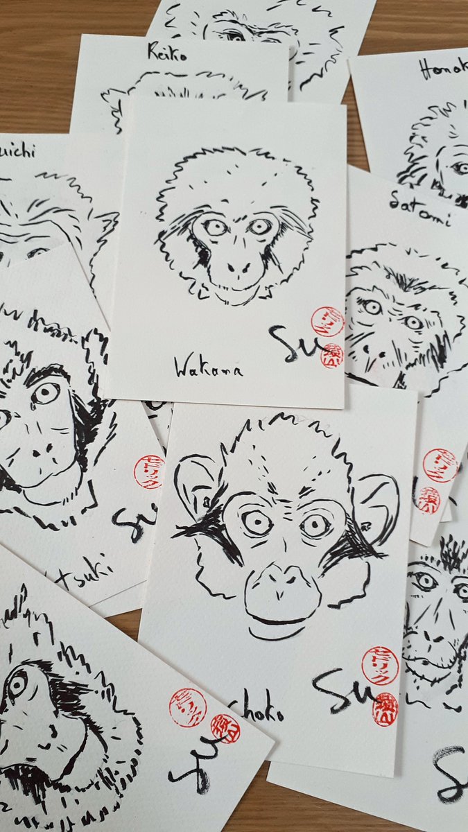 Cédric Sueur - Les Péripéties d'un primatologue tweet media