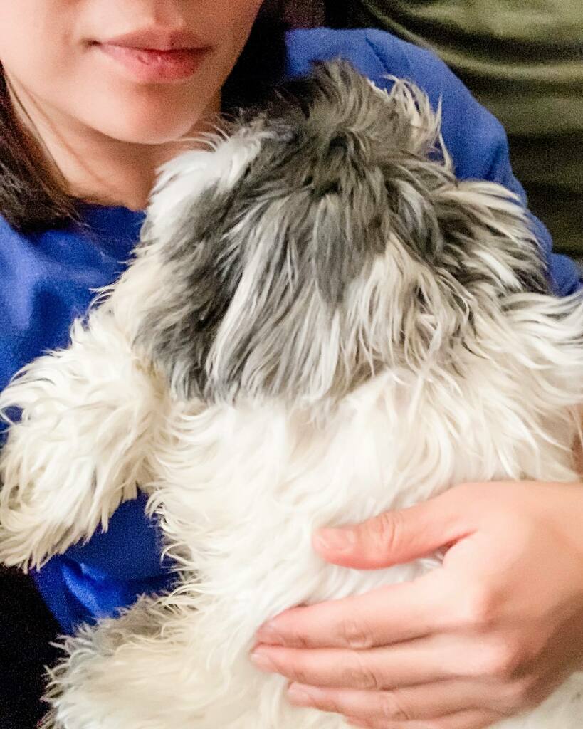 thisfamlife's tweet photo. It’s safe to say Gizmo missed me ❤️🐶

Enjoying some #sundaymorningcuddles with the #furbabies 

#happysundayfriends 🥰

#Frugal #frugalliving #frugallife #frugalmom #frugalicious #frugalfamily #frugalshopper #frugalista #frugalsquad #frugalnotcheap #l… https://t.co/bdPayYSYwI https://t.co/w5RuACs097