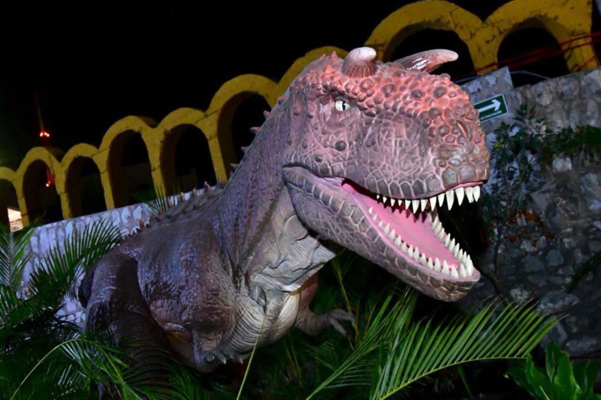 🟢 Debido al éxito de la exposición de dinosaurios 🦕 del #PuertoNoas, permanecerá una semana más, hasta el próximo domingo 5 de diciembre.