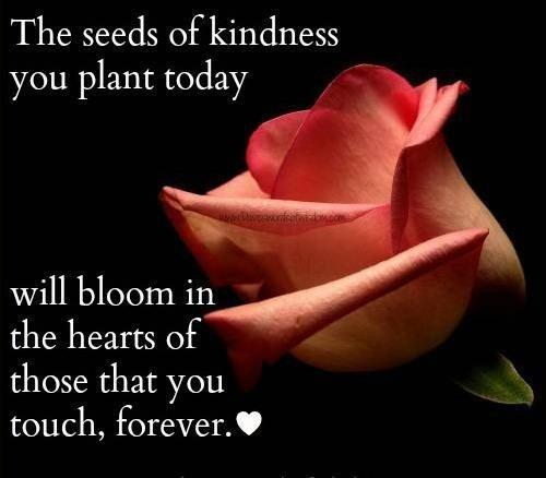 JoyofOneness's tweet photo. #Kindness #KindnessMatters #kindnesswins #soft #gentlespace #tender #TenderOpening #compassion #SeedsOfGold #Bloom #Blossom #Heart https://t.co/kRA4V1CyvX