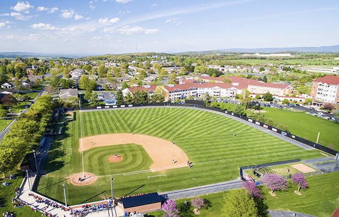 Morgan Miller tweet media