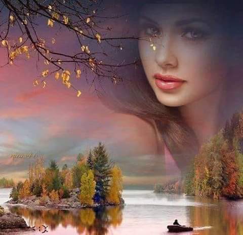 RamziAxel's tweet photo. @Autorin24Sandra Goodeevening  &amp; sweet night dear sandra☕💜💙💚🙏💕💗🍂💫💛🌼🌠 https://t.co/Hl0K1UmEDi