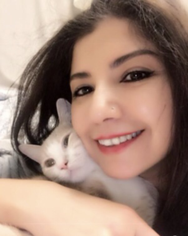 g_ymz's tweet photo. #kediler çok cool 😎 😘 https://t.co/BwE1uyIOmK