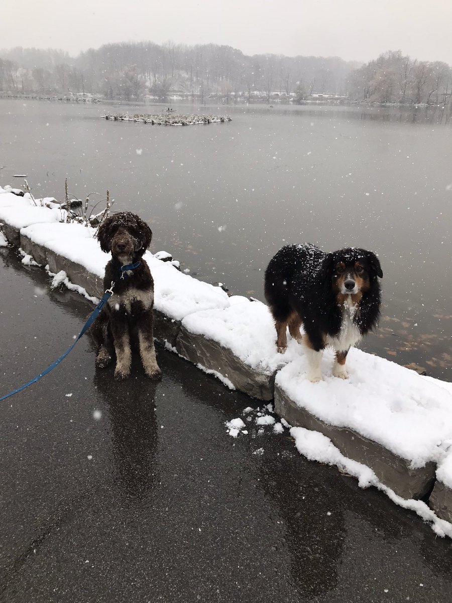 Miss Brown tweet media