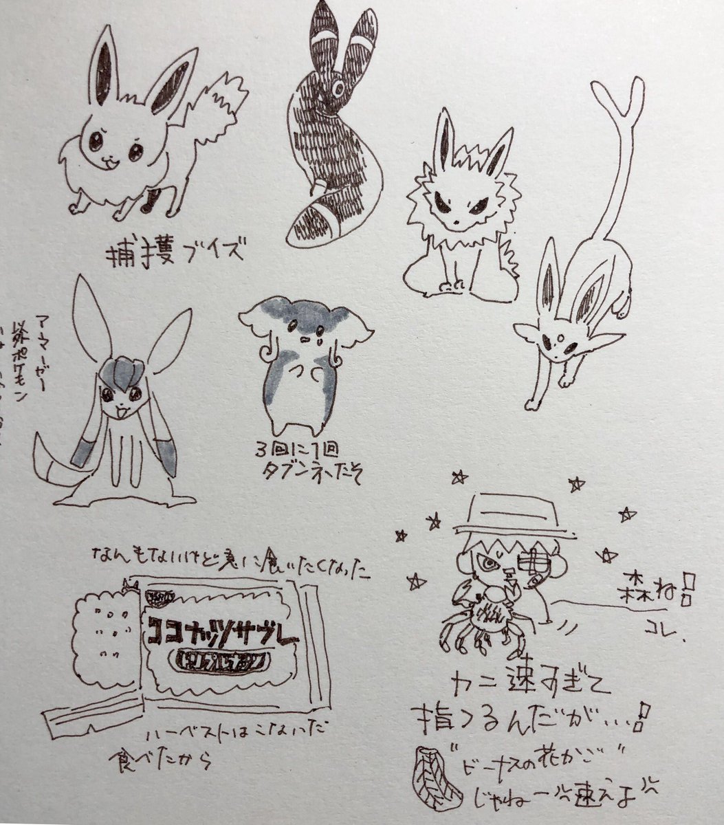 ポケモンと森のハナシ!(日記) 