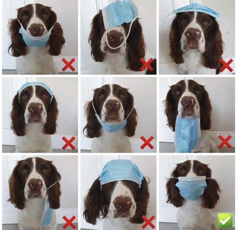 JonColl72680396's tweet photo. How to wear a mask for the hard of learning and brexiteers 😀 https://t.co/7XS20fqBaW