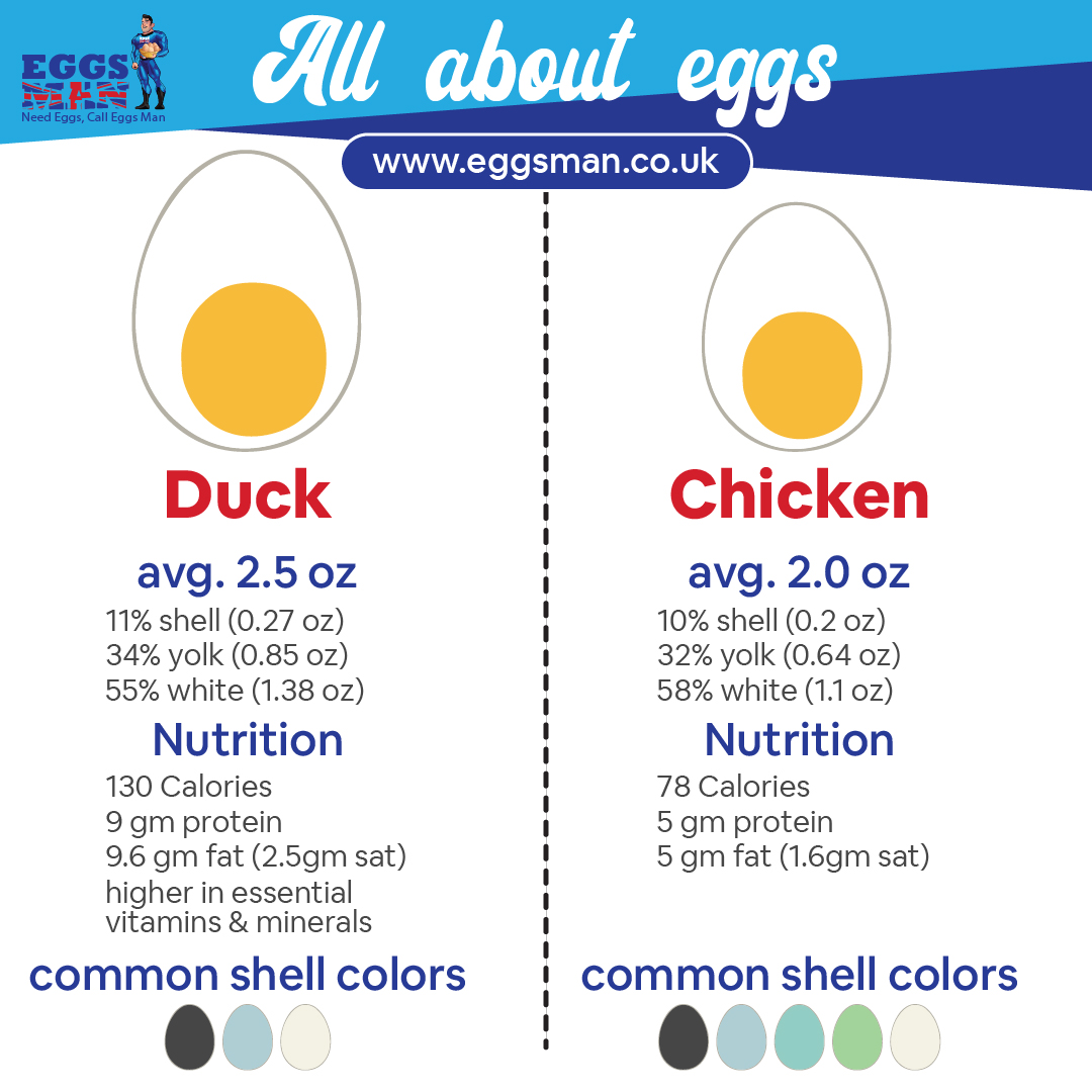 Did you knew?

Order now: 208-558-0399

#egg #healthyeatsliving #plushport  #Eggsman #healthyeggs #goodmorning #UKsbesteggs